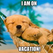 Image result for Vacation Dog Meme