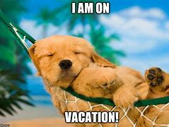 Image result for Have Fun On Vacation Meme