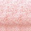 Image result for Hot Pink Backdrop