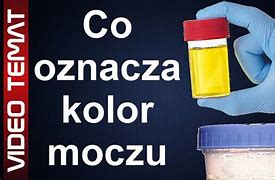 Image result for co_oznacza_Żywy_piasek