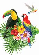 Image result for Tropical Birds Fabric Print