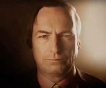 Image result for Saul Goodman Furry Meme