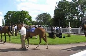 Image result for Worcester Horse Racing