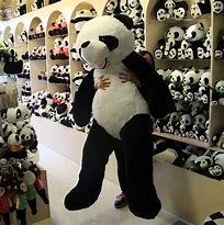 Image result for Giant Panda Bear Plush