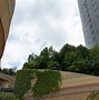 Image result for Namba Parks Osaka Clkimbing