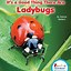 Image result for Ladybug Book