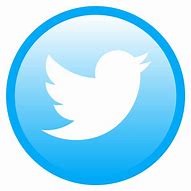 Image result for Tweet Logo Emoji