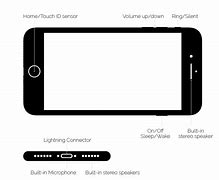 Image result for iPhone 7 How Big