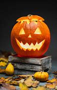 Image result for Pic of a Pumpkin