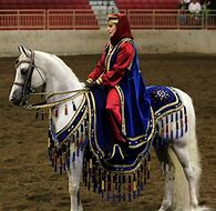 Image result for Arabian Horse Show Costume
