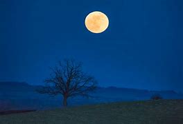 Image result for Night Time Moon Photography