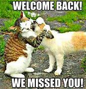 Image result for Cute Welcome Back Meme
