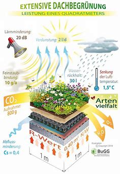 Die Leistung von einem Quadratmeter (1 m²) Gebäudebegrünung auf einen Blick