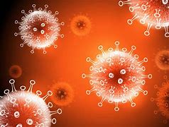 Image result for Covid Virus Images