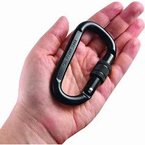 Image result for Omega Carabiner