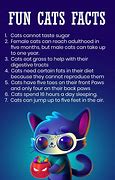 Image result for Fun Facts About Cats