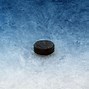 Image result for Hockey Puck and Stick Cool