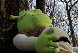 Image result for Shrek What Are You Doing in My Swamp Scene