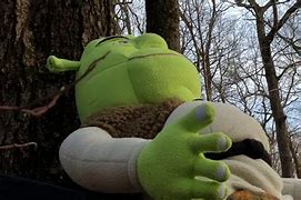 Image result for Shrek Yelling What Are You Doing in My Swamp