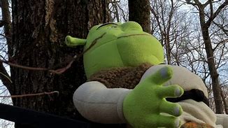 Image result for +What Are You Doing in My Swamp Shrek Devant Art