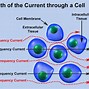 Image result for Cellular Frequency