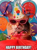 Image result for Drinking Birthday Cat Memes