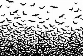 Image result for Bat Pattern Transparent