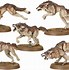Image result for Warhammer Tribe of the Wolf