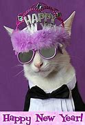 Image result for LOL Cat New Year's