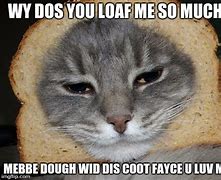 Image result for Dough Cat Meme