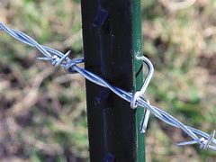 Image result for T-Post Wire Clips