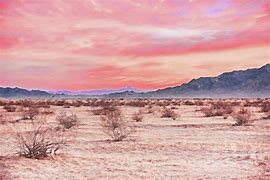 Image result for Yuma Arizona Desert
