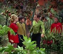Image result for Star Trek the Apple Ensign Mallory