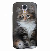 Image result for cute cats phones cases