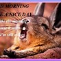 Image result for Funny Good Morning Have a Great Day