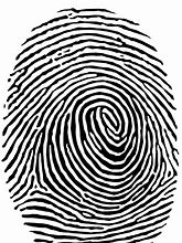 Image result for Fingerprint Backround Design