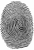 Image result for Electronic Fingerprint Clip Art