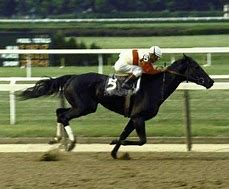 Image result for Ruffian Horse