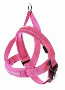 Image result for cat harness