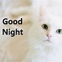 Image result for Good Night See You Tomorrow Meme