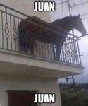 Image result for Juan Memes