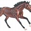 Image result for Race Horse Kentucky Derby Graphic