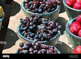Image result for Fruits in Saudi Arabia