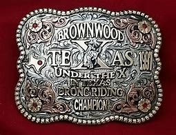 Image result for Bull Riding Belt Buckles