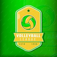 Image result for Volleyball Logo Design