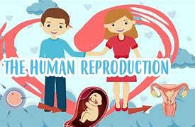 Image result for reproduce animated