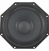 Image result for 12-Inch PRV Speaker Mid-Range
