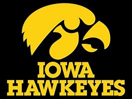 Image result for Iowa Hawkeyes SVG Files