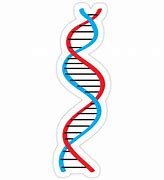 Image result for DNA Meme Sticker