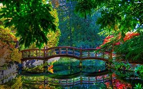 Image result for Free Peaceful Nature Wallpaper